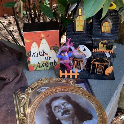 LOT 120: Large Assortment of Halloween Indoor and Outdoor Decorations