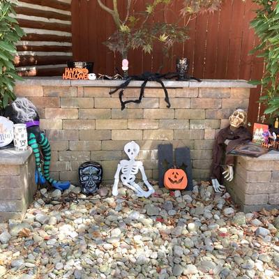 LOT 120: Large Assortment of Halloween Indoor and Outdoor Decorations