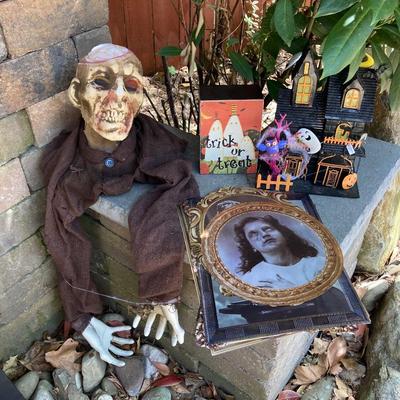LOT 120: Large Assortment of Halloween Indoor and Outdoor Decorations