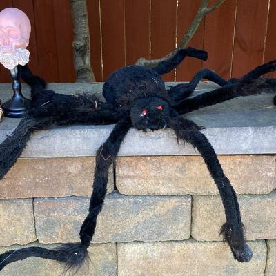 LOT 120: Large Assortment of Halloween Indoor and Outdoor Decorations