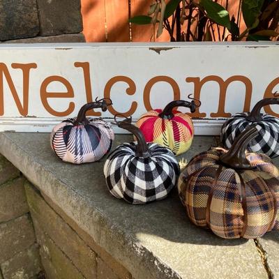 LOT 123: Assortment of Fall Decor Including Signs, Pumpkin Shaped Decorations and More