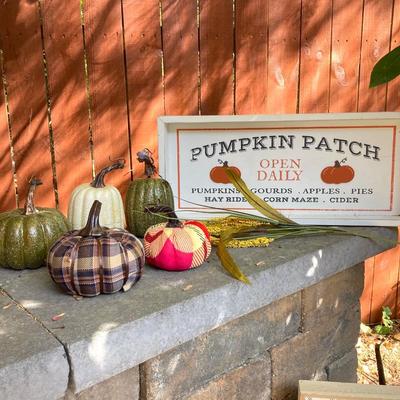 LOT 123: Assortment of Fall Decor Including Signs, Pumpkin Shaped Decorations and More