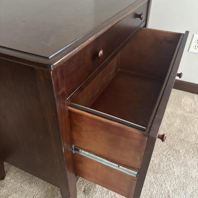 LOT 156: Fiing/Storage Cabinet
