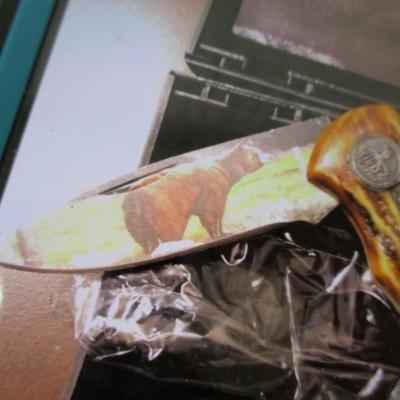 Wild Outdoor "Bear" Series Folding Knife
