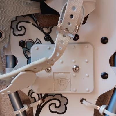PROFESSIONAL GUIDE PRO V SERIES SNOWSHOES WITH ADJUSTABLE POLES