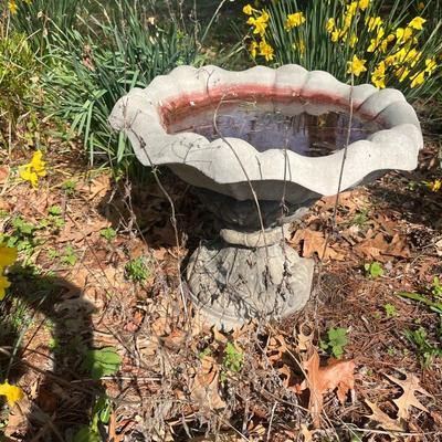 Birdbath