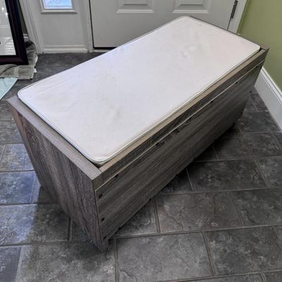Entryway Storage Bench (LR-DZ)
