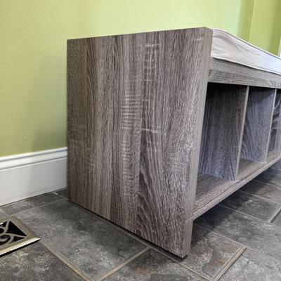 Entryway Storage Bench (LR-DZ)
