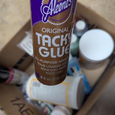 Assortment Of Crafting Supplies Paint Glue Artificial Flowers (SR)