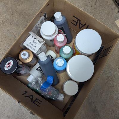 Assortment Of Crafting Supplies Paint Glue Artificial Flowers (SR)