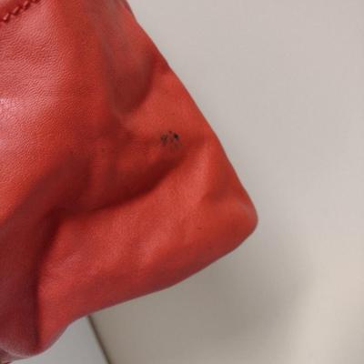 Tyler Rodan Hand Bag