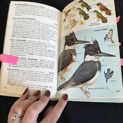 Braiding Sweetgrass and Other Nature Themed Books (B1-BM)