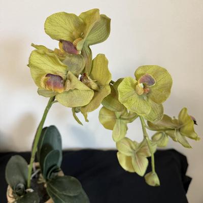 Faux Flower Arrangements (B1-BM)