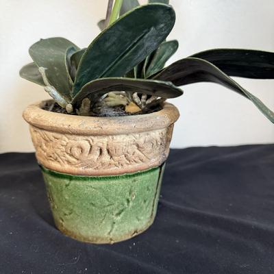 Faux Flower Arrangements (B1-BM)