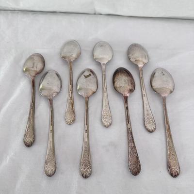 41-Piece WM Rogers ‘Jubilee’ Silver Plated Flatware (DR-DZ)