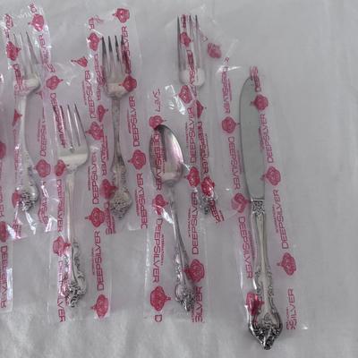 25-Piece International Deep Silver Inlaid Flatware Set and More (DR-DZ)
