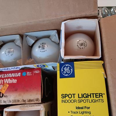 A VARIETY OF LIGHT BULBS