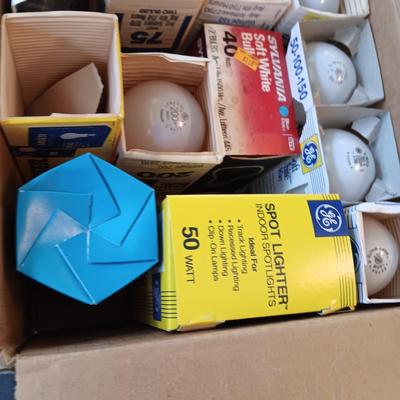 A VARIETY OF LIGHT BULBS