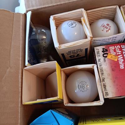 A VARIETY OF LIGHT BULBS