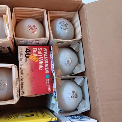 A VARIETY OF LIGHT BULBS