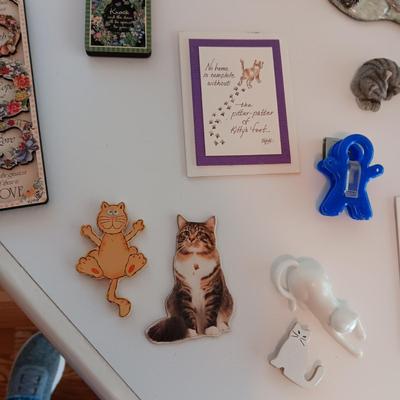 REFRIGERATOR MAGNETS