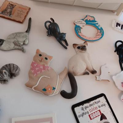 REFRIGERATOR MAGNETS
