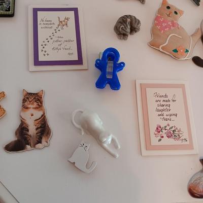 REFRIGERATOR MAGNETS