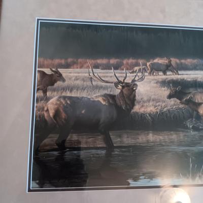 "MORNING FROST" SIGNED BY ARTIST NANCY GLAZIER