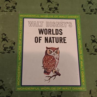 WALT DISNEY'S 1965 4 CHILDREN'S BOOK SET AND 2 DISNEY MOVIES