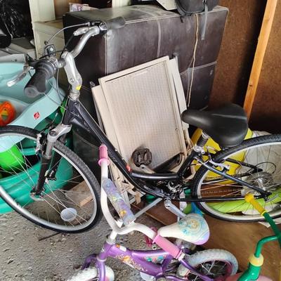 Adult Bike