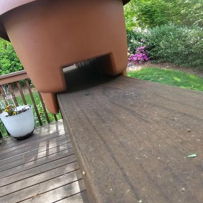 Three Oblong Plastic Rail Sitter Pots + Plants (Y-JS)