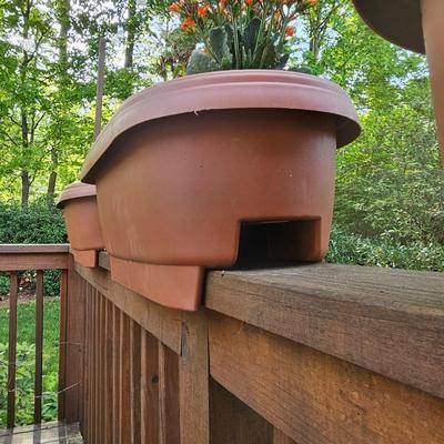 Three Oblong Plastic Rail Sitter Pots + Plants (Y-JS)