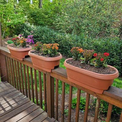 Three Oblong Plastic Rail Sitter Pots + Plants (Y-JS)