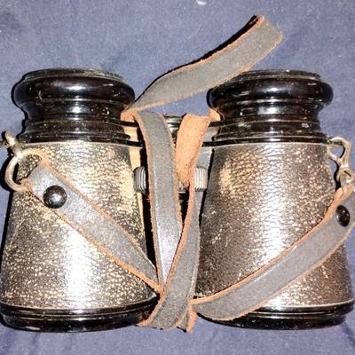 Vintage Binoculars w/case
