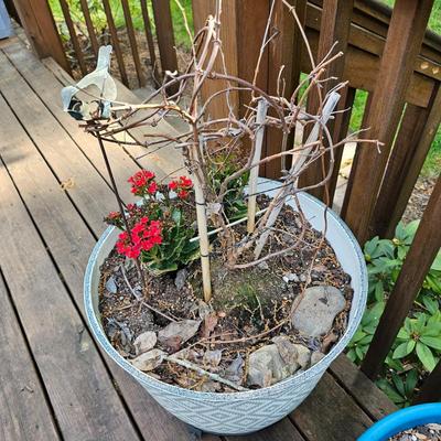 Four Round Plastic Decor Pots (Y-JS)