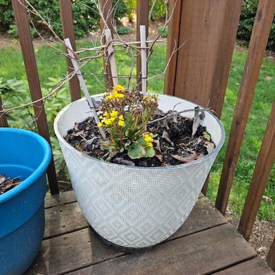 Four Round Plastic Decor Pots (Y-JS)