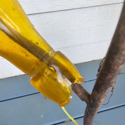 Wrought Iron Bottle Tree w/Bottles (Y-JS)