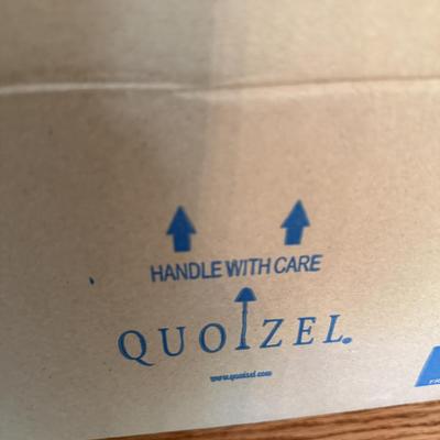 Brand new Quoizel light fixture
