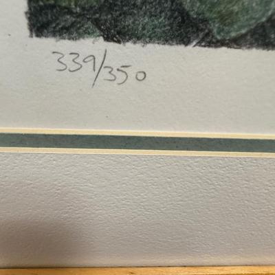 Framed Art: Lithograph of "Conservatory 4" by Arthur Byrne