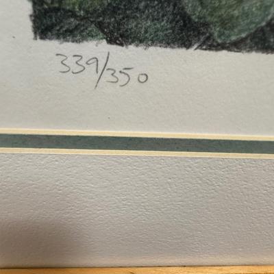 Framed Art: Lithograph of "Conservatory 4" by Arthur Byrne