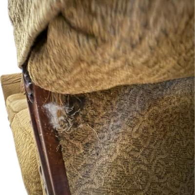 Sofa with Beautiful Wood Trim