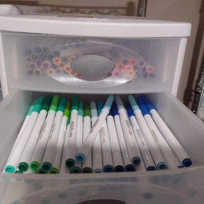 Collection of Craft Markers and Pens Includes Storage Containers (#1)