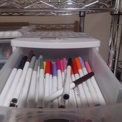 Collection of Craft Markers and Pens Includes Storage Containers (#1)