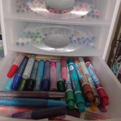 Collection of Craft Markers and Pens Includes Storage Containers (#1)