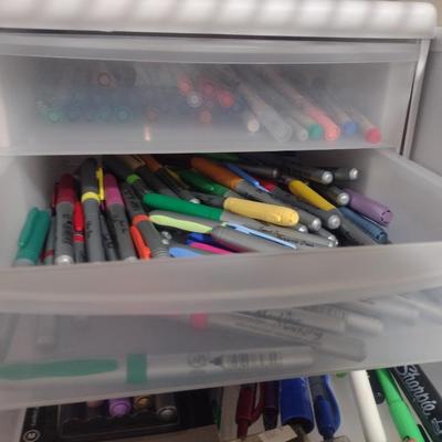 Collection of Craft Markers and Pens Includes Storage Containers (#1)