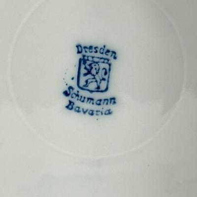 Classic German Carl Schumann Bavaria Net-like Porcelain Plate Painted Flowers