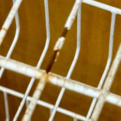 Rolling Wire Shelf