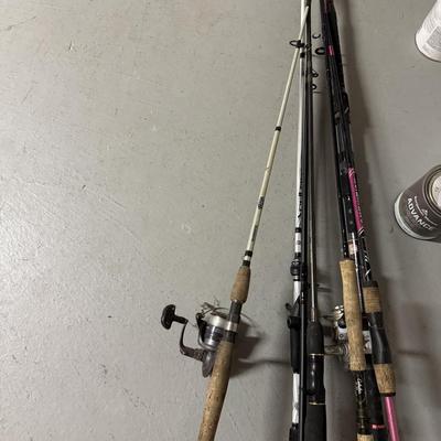 Lot of fishing poles and reels