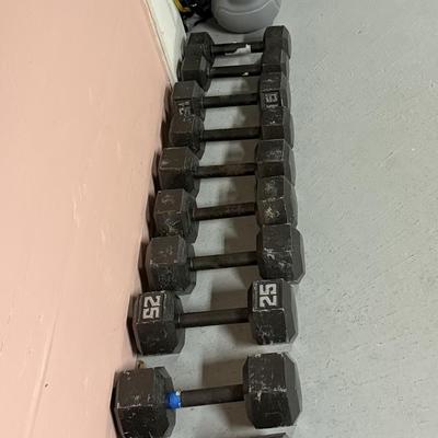 Free weights ranging up to 30 pounds