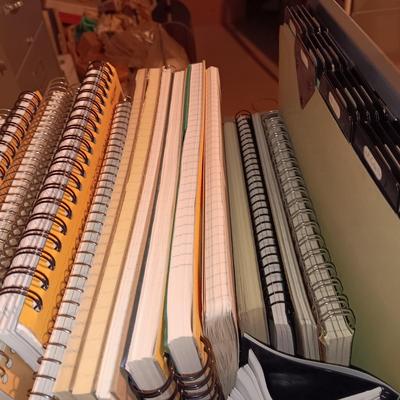 MANY SPIRAL NOTEBOOKS AND LINED PAPER